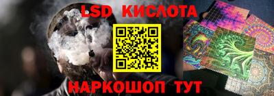 PSILOCYBIN Кунгур