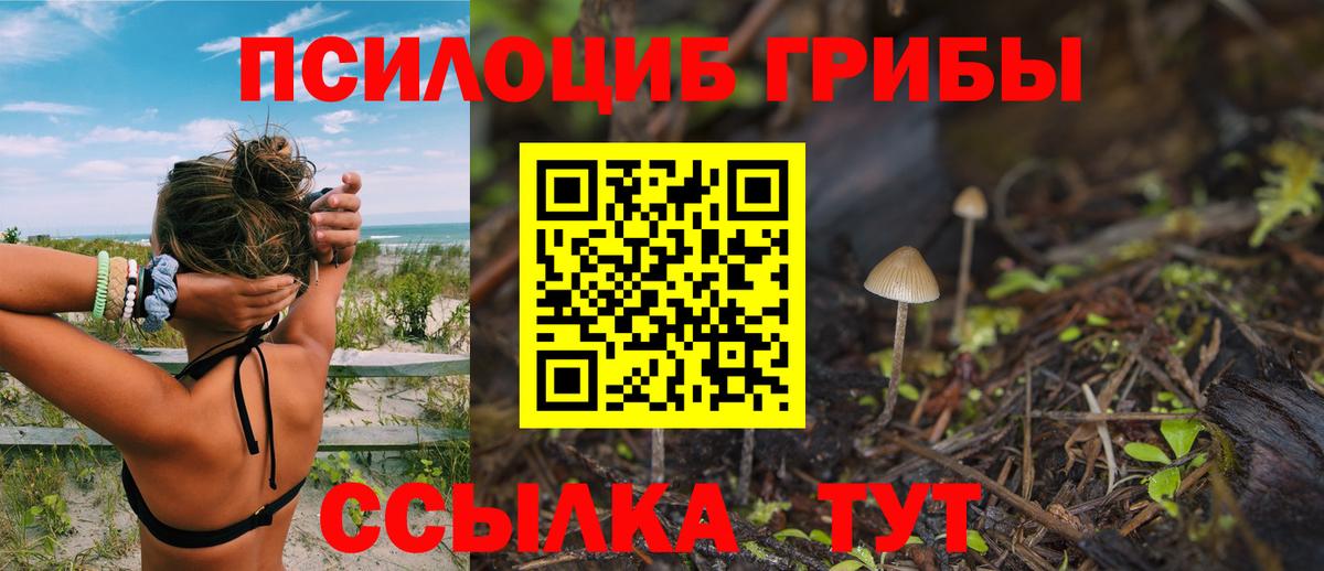 Псилоцибиновые грибы GOLDEN TEACHER  Вход с VPN  Ессентуки  Псилоцибиновые грибы ЛСД 