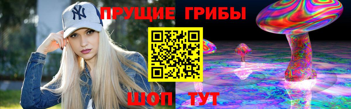 Галлюциногенные грибы Cubensis Ессентуки